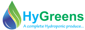 Hy Greens Logo